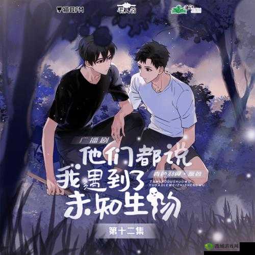 绑定 jy 收集系统姑父：一个独特的存在