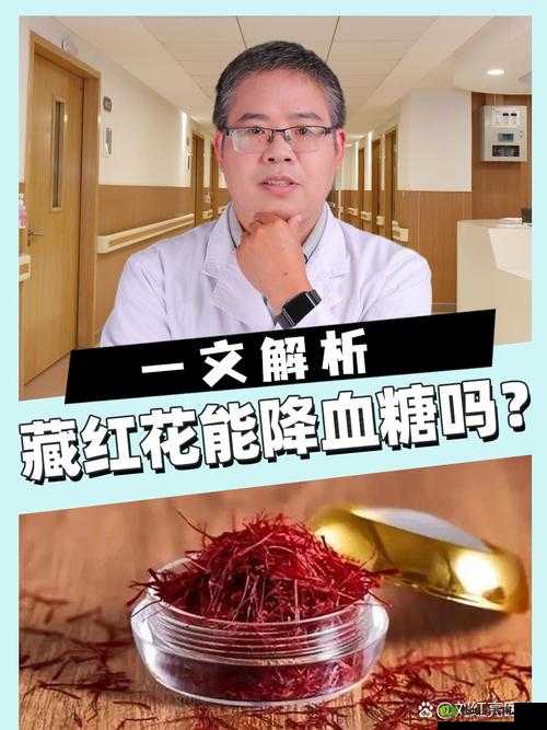 天命 6 番红花技能图鉴全面解析 三星番红花究竟表现如何