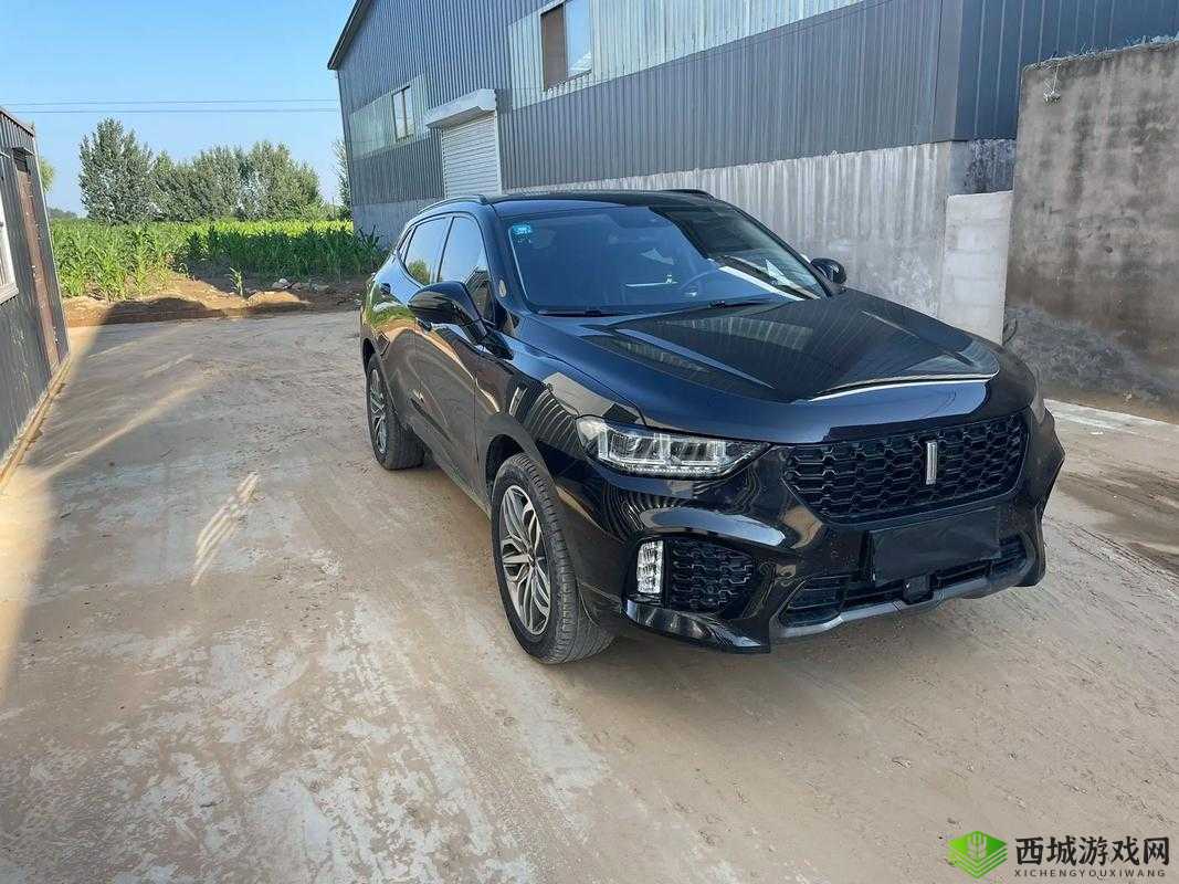 weyvv5 国产 SUV 精彩视频呈现