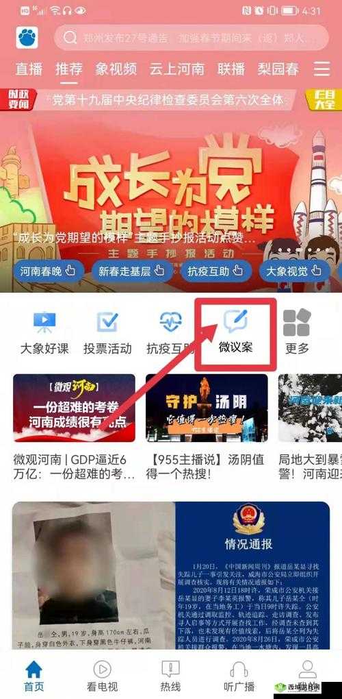 满 18 岁用户如何安全进入 2024 大象平台：指南