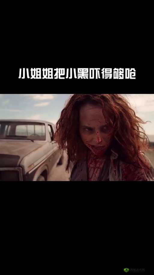沃野布吉岛免费观看强森电视剧全剧精彩呈现
