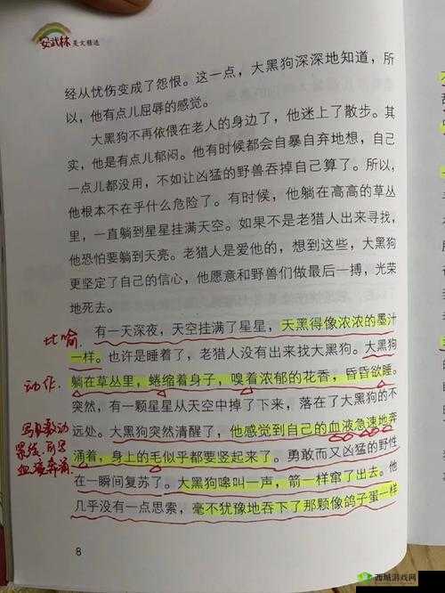 在火车上与继母同行的故事：一段充满温情与理解的旅程
