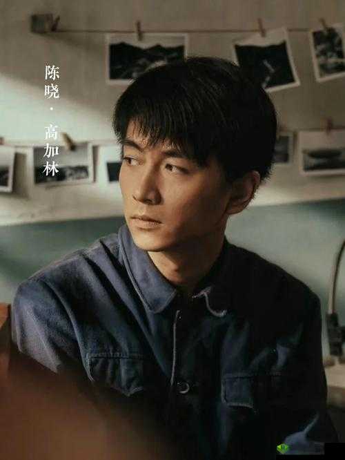 秘史江晓萍小易沈悦陆婷婷：一段不为人知的复杂纠葛历程