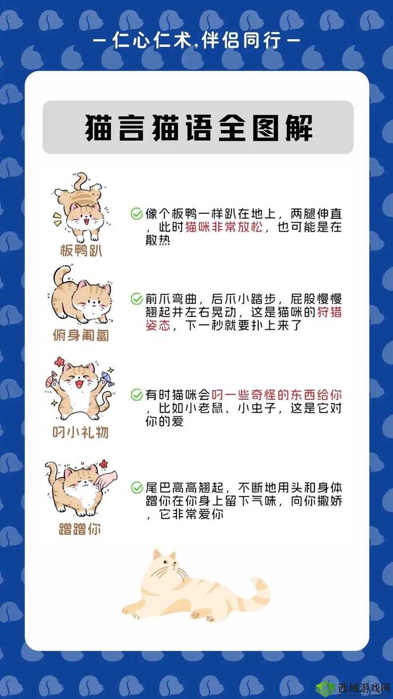 猫语咖啡里，猫咪的神奇技能究竟有哪些种类及作用呢？