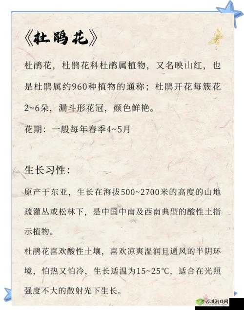 烟雨江湖杜鹃花究竟隐藏何处？全面揭秘杜鹃花坐标位置